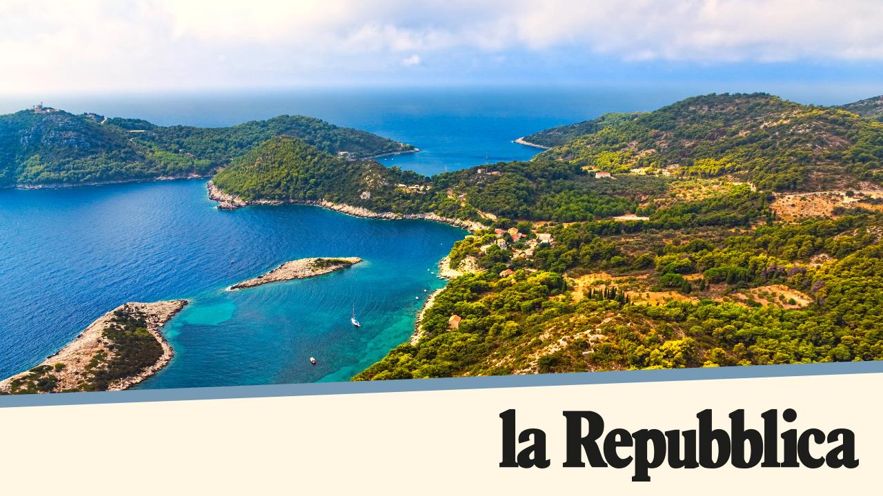 Elbe, Mljet, Senja, Hachijojima… Le rythme lent des petites îles en automne, des vacances différentes pour retrouver l’équilibre