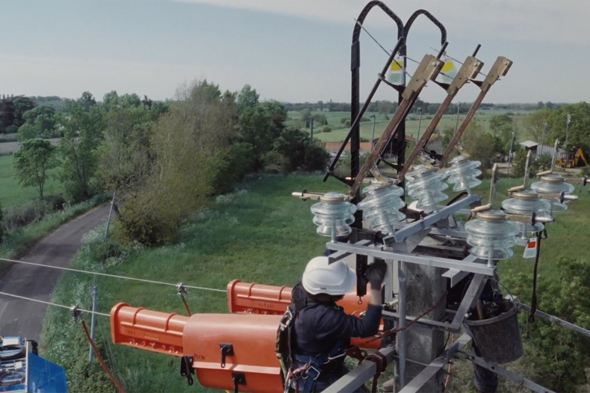 « Éviter une sorte de greenwashing » : comment Enedis concilie distribution électrique et protection des oiseaux