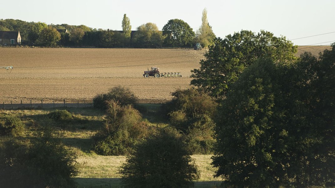 Plan d’urgence agricole : les aides se déploient, 54 672 demandes en une semaine
